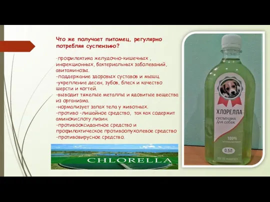 Что же получает питомец, регулярно потребляя суспензию? -профилактика желудочно-кишечных ,