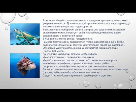 Акватория Индийского океана лежит в пределах тропического и южного умеренного