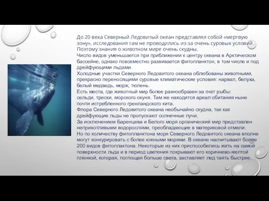 До 20 века Северный Ледовитый океан представлял собой «мертвую зону»,