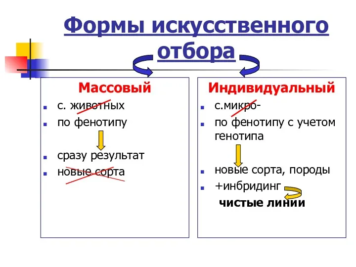 Формы искусственного отбора Массовый с. животных по фенотипу сразу результат