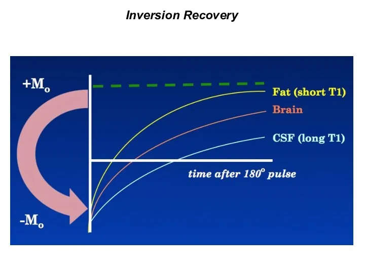 Inversion Recovery