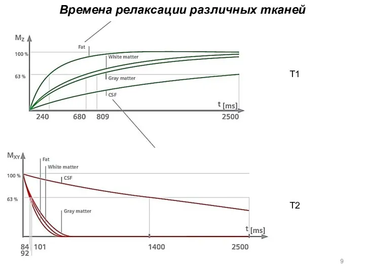 Времена релаксации различных тканей Т1 Т2