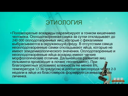 ЭТИОЛОГИЯ Половозрелые аскариды паразитируют в тонком кишечнике человека. Оплодотворенная самка