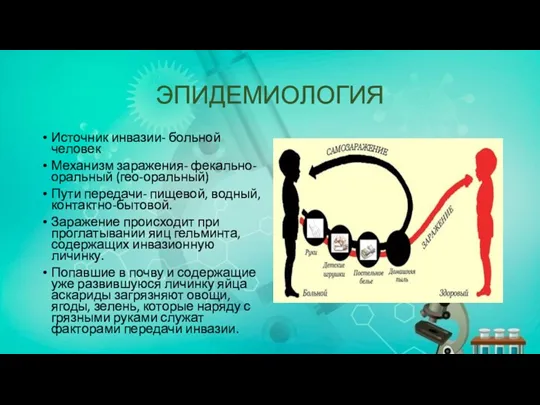 ЭПИДЕМИОЛОГИЯ Источник инвазии- больной человек Механизм заражения- фекально-оральный (гео-оральный) Пути