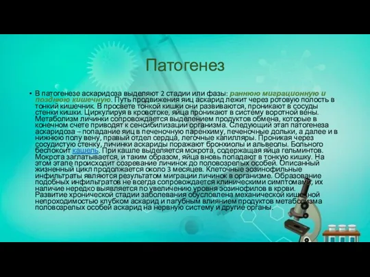 Патогенез В патогенезе аскаридоза выделяют 2 стадии или фазы: раннюю