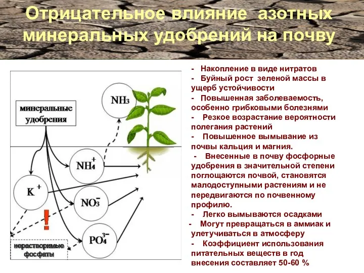 Отрицательное влияние азотных минеральных удобрений на почву - Накопление в