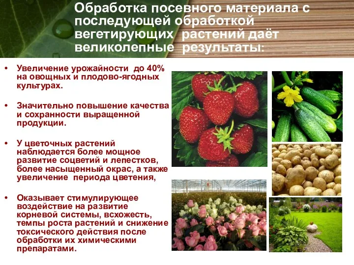 Увеличение урожайности до 40% на овощных и плодово-ягодных культурах. Значительно