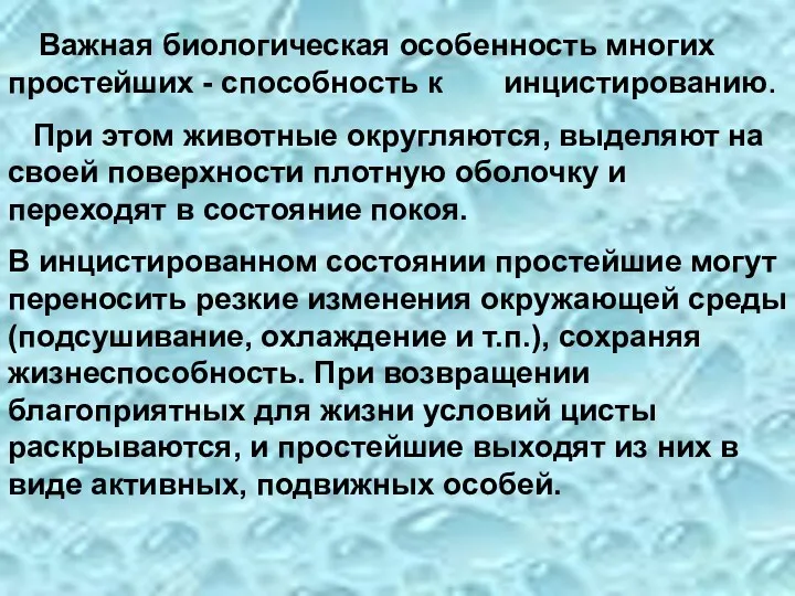 Важная биологическая особенность многих простейших - способность к инцистированию. При