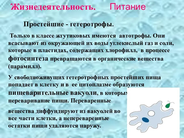 Простейшие - гетеротрофы. Только в классе жгутиковых имеются автотрофы. Они