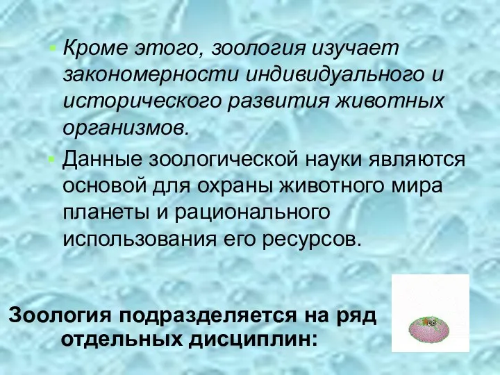 Кроме этого, зоология изучает закономерности индивидуального и исторического развития животных