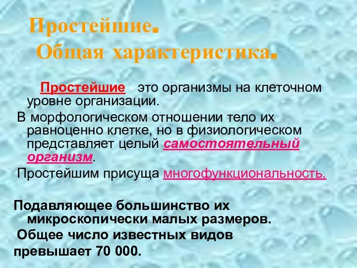 Простейшие. Общая характеристика. Простейшие - это организмы на клеточном уровне