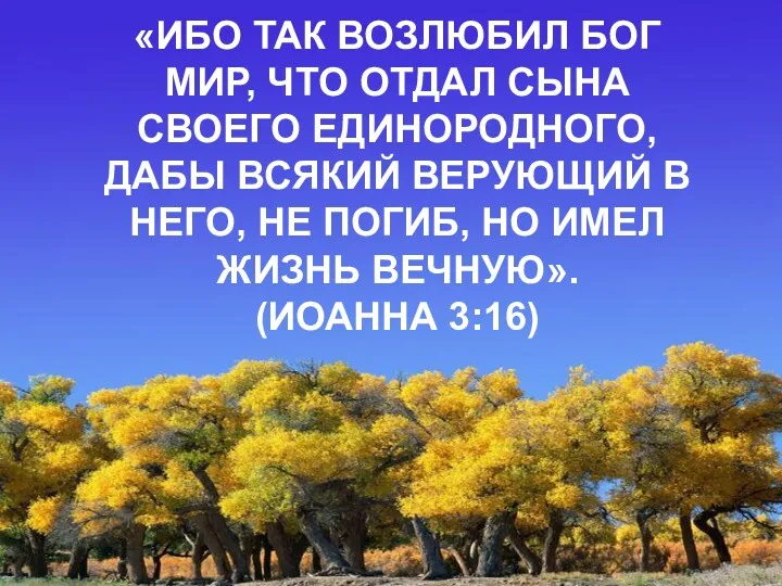 «ИБО ТАК ВОЗЛЮБИЛ БОГ МИР, ЧТО ОТДАЛ СЫНА СВОЕГО ЕДИНОРОДНОГО,