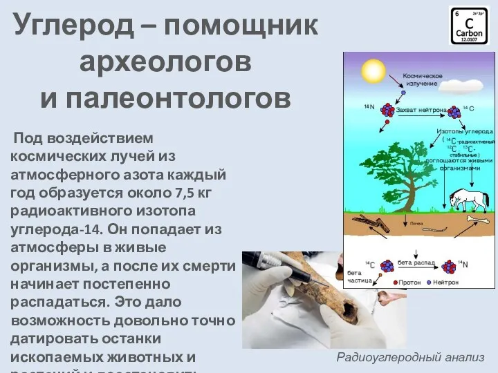 Углерод – помощник археологов и палеонтологов Радиоуглеродный анализ Под воздействием