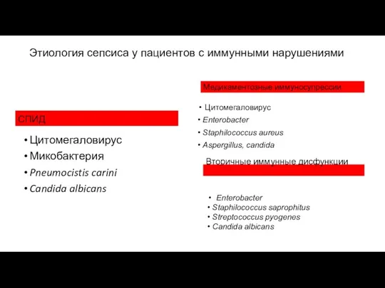 Этиология сепсиса у пациентов с иммунными нарушениями СПИД Цитомегаловирус Микобактерия