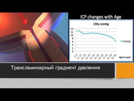 Трансламинарный градиент давления