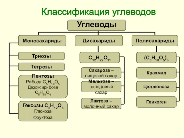 Классификация углеводов Триозы Тетрозы Пентозы Рибоза С5Н10О5 Дезоксирибоза С5Н10О4 Гексозы
