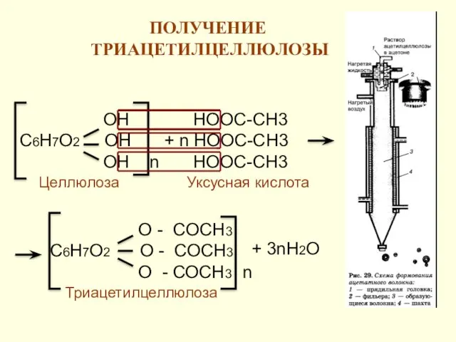 ПОЛУЧЕНИЕ ТРИАЦЕТИЛЦЕЛЛЮЛОЗЫ ОН С6Н7О2 ОН ОН n НООС-СН3 + n