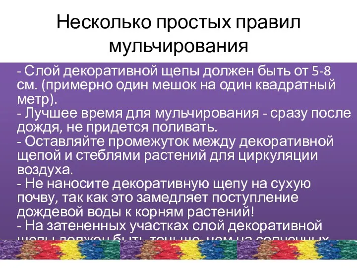 Несколько простых правил мульчирования - Слой декоративной щепы должен быть