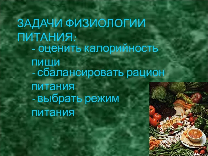 ЗАДАЧИ ФИЗИОЛОГИИ ПИТАНИЯ: - оценить калорийность пищи - сбалансировать рацион питания - выбрать режим питания