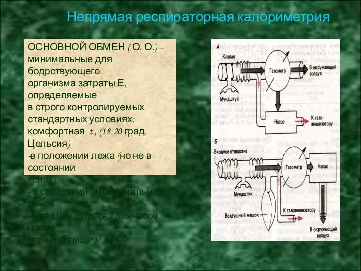 ОСНОВНОЙ ОБМЕН ( О. О.) – минимальные для бодрствующего организма