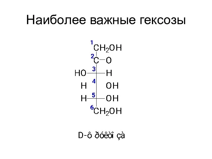 Наиболее важные гексозы