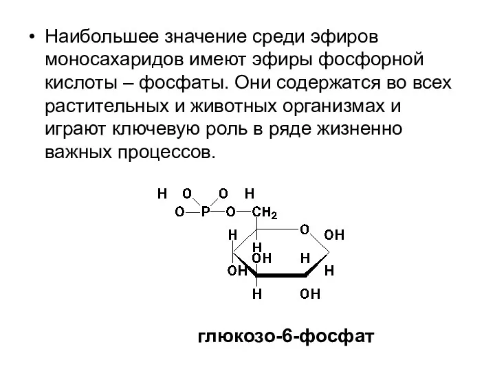 Наибольшее значение среди эфиров моносахаридов имеют эфиры фосфорной кислоты –