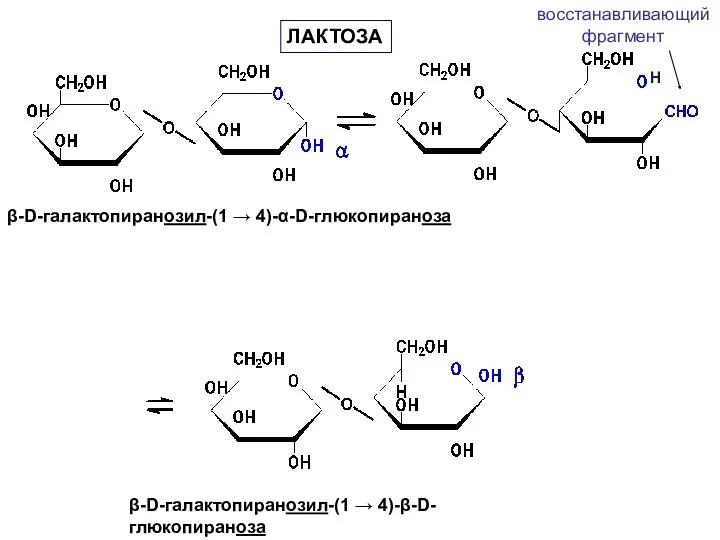 β-D-галактопиранозил-(1 → 4)-α-D-глюкопираноза β-D-галактопиранозил-(1 → 4)-β-D-глюкопираноза восстанавливающий фрагмент ЛАКТОЗА H