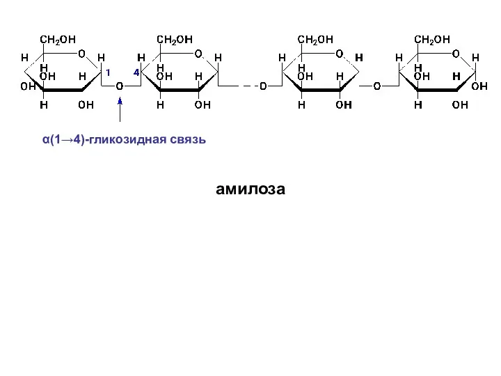 α(1→4)-гликозидная связь амилоза
