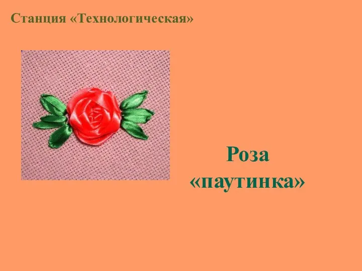 Роза «паутинка» Станция «Технологическая»