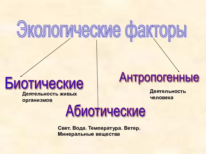 Экологические факторы Абиотические Биотические Антропогенные Деятельность человека Деятельность живых организмов Свет. Вода. Температура. Ветер. Минеральные вещества