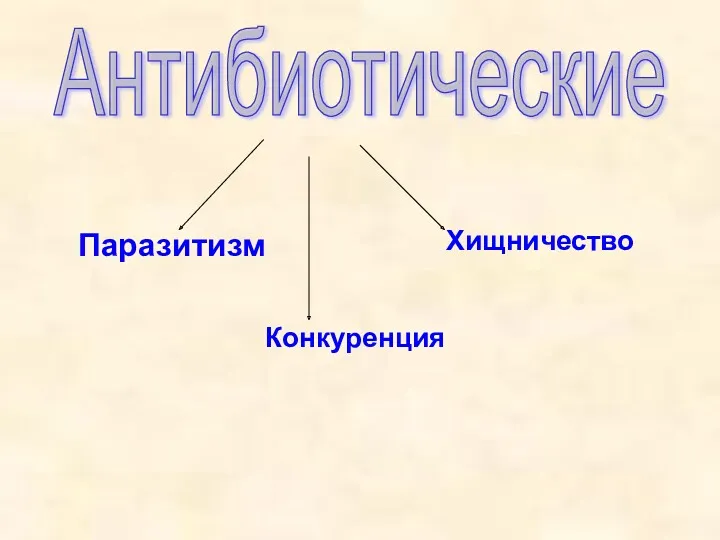 Антибиотические Паразитизм Конкуренция Хищничество