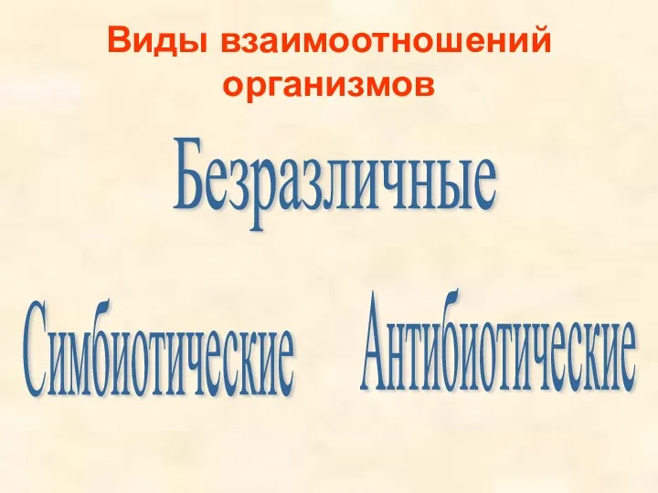 Виды взаимоотношений организмов Антибиотические Симбиотические Безразличные