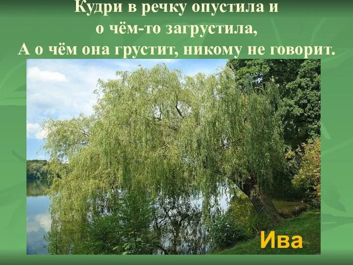 Кудри в речку опустила и о чём-то загрустила, А о