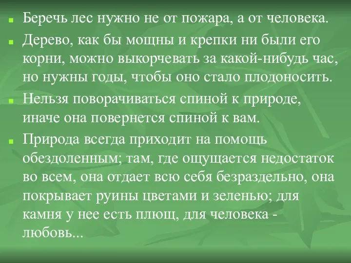 Беречь лес нужно не от пожара, а от человека. Дерево,