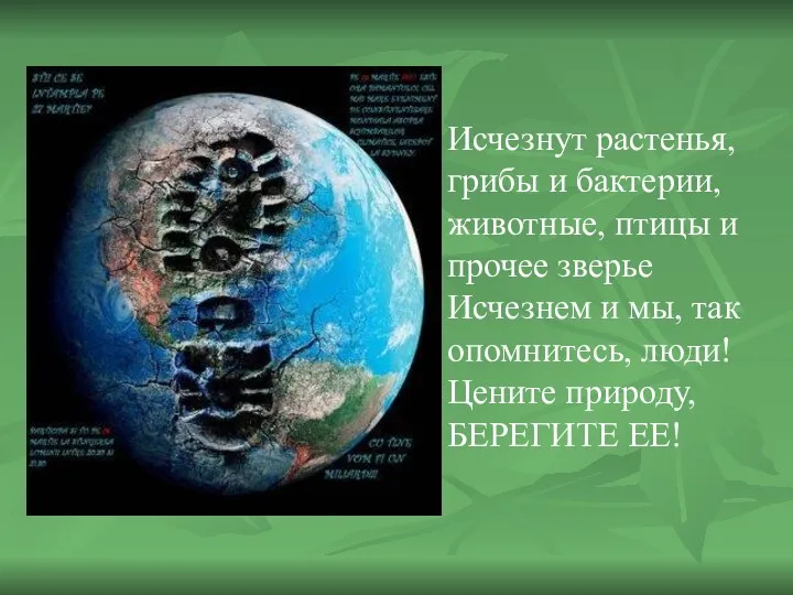 Исчезнут растенья, грибы и бактерии, животные, птицы и прочее зверье