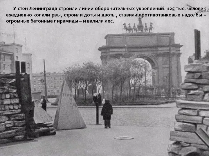У стен Ленинграда строили линии оборонительных укреплений. 125 тыс. человек