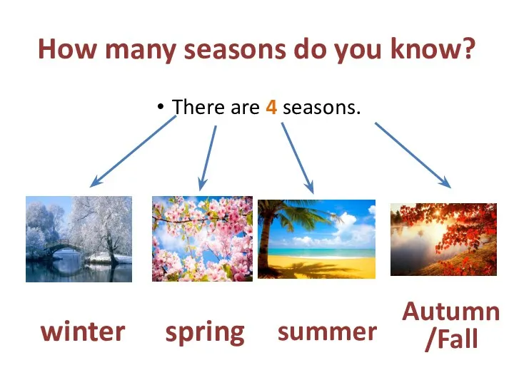 How many seasons do you know? There are 4 seasons. winter spring summer Autumn/Fall