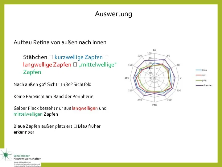 Aufbau Retina von außen nach innen Stäbchen ? kurzwellige Zapfen