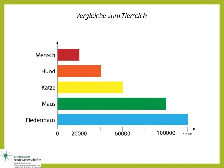 Vergleiche zum Tierreich