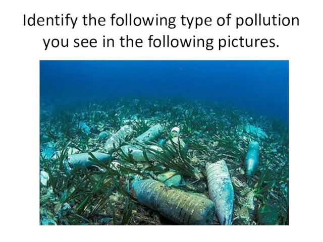 Identify the following type of pollution you see in the following pictures.