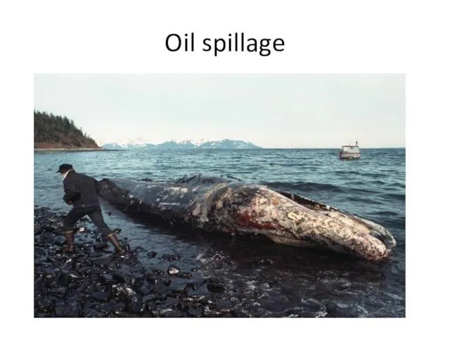 Oil spillage