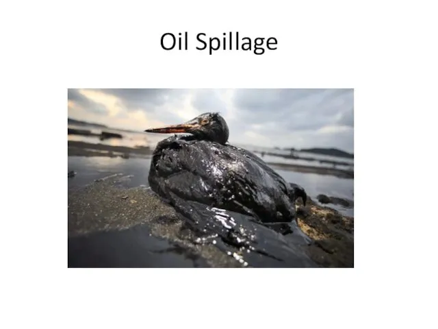 Oil Spillage