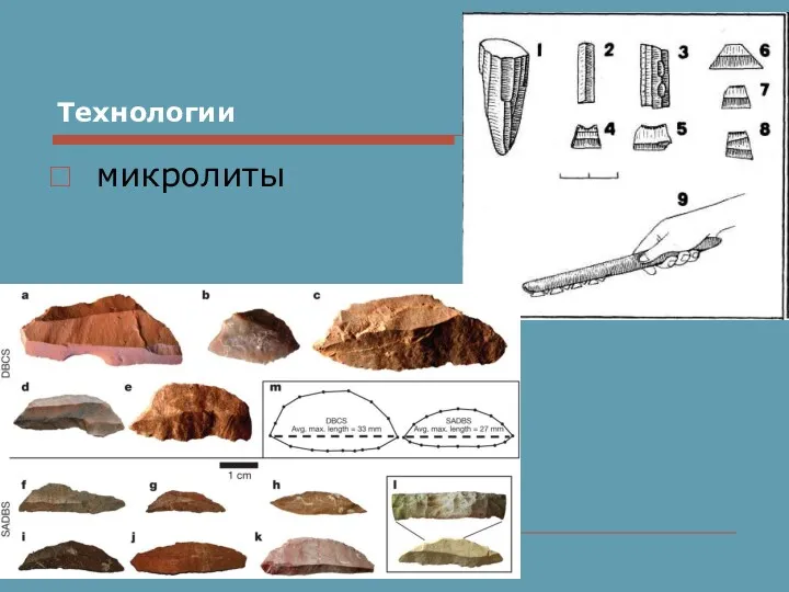 Технологии микролиты