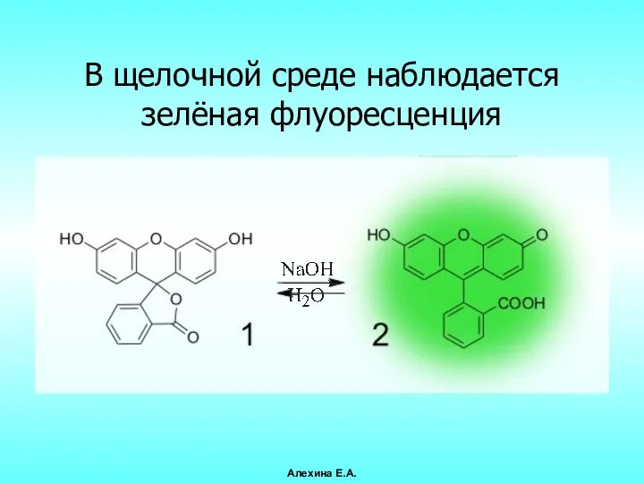 В щелочной среде наблюдается зелёная флуоресценция Алехина Е.А.