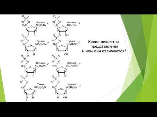 Какие вещества представлены и чем они отличаются?