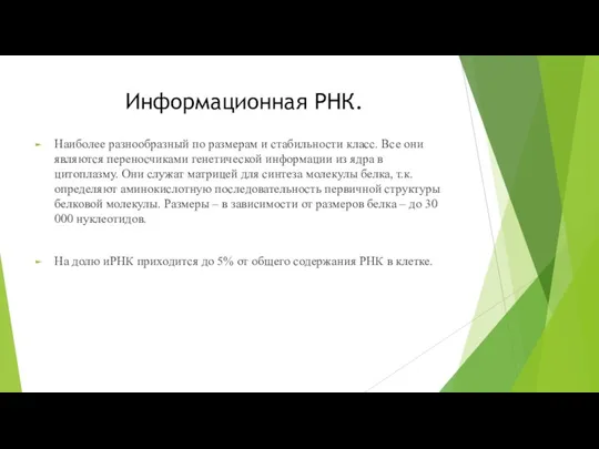 Информационная РНК. Наиболее разнообразный по размерам и стабильности класс. Все