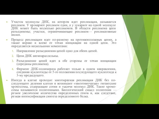 Участок молекулы ДНК, на котором идет репликация, называется репликон. У