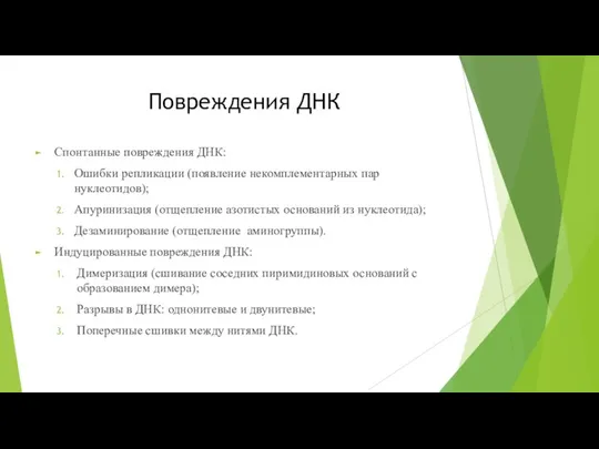 Повреждения ДНК Спонтанные повреждения ДНК: Ошибки репликации (появление некомплементарных пар