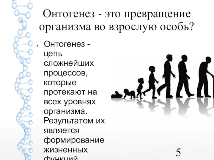 Онтогенез - это превращение организма во взрослую особь? Онтогенез -