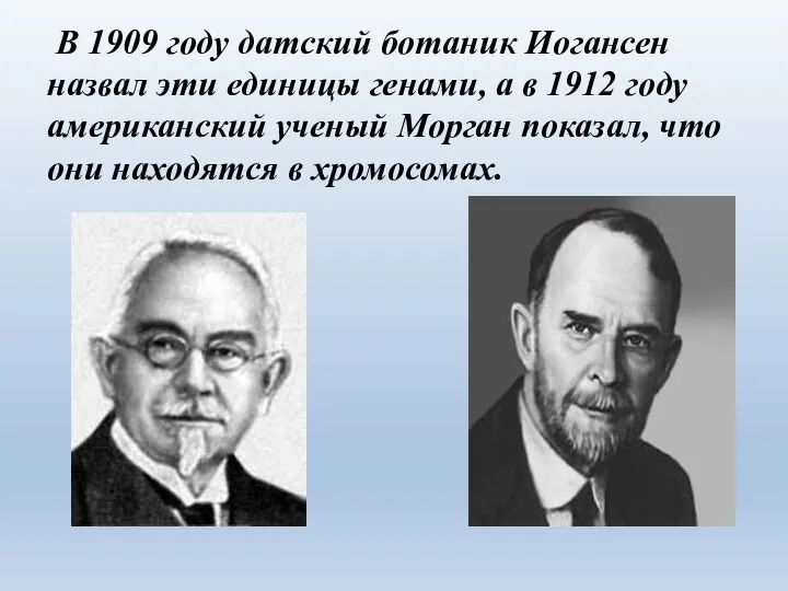 В 1909 году датский ботаник Иогансен назвал эти единицы генами,